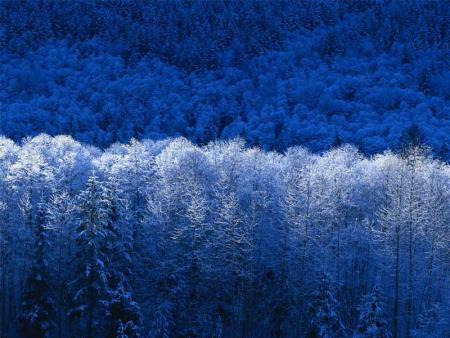 colline de lhiver